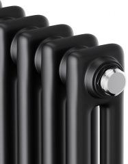 Стальной трубчатый радиатор 2-колончатый Royal Thermo Insignia C2180 - 04 секц. RAL9005m, боковое 1/2