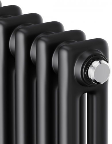 Стальной трубчатый радиатор 2-колончатый Royal Thermo Insignia C2180 - 08 секц. RAL9005m, боковое 1/2